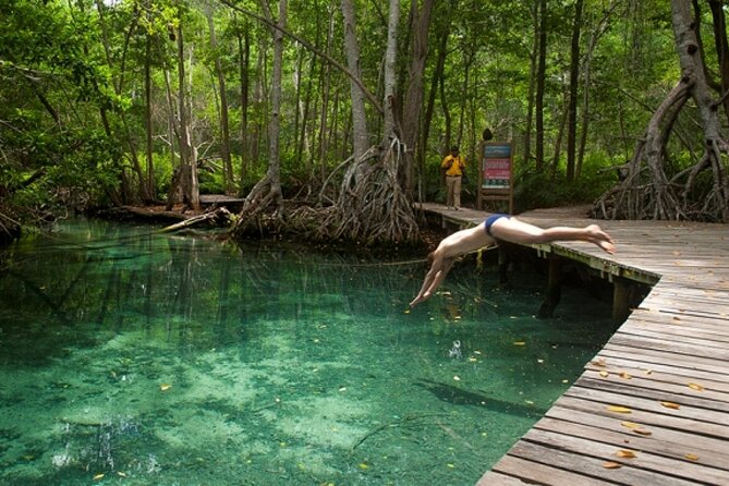 Celestun Beach and Mangrove Boat Ride from Merida - Lunch in Celestun: included dish choice, and what to expect