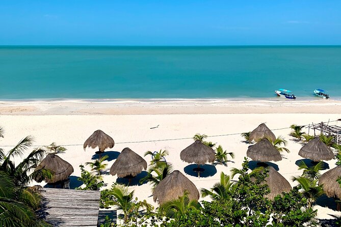 Celestun Beach and Mangrove Boat Ride from Merida - Value for the price: is $128 worth it?
