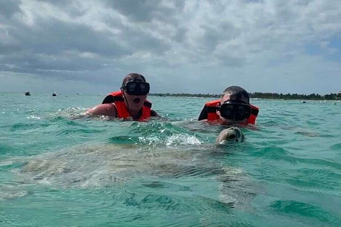 Cenote and Swimming with Turtles Private Tour in Akumal - How the 8:00 am schedule shapes the whole day