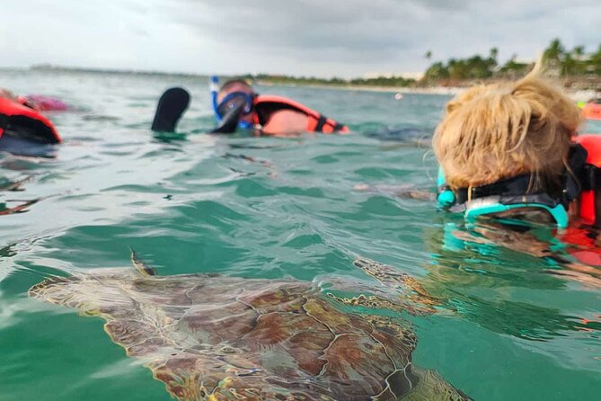 Cenote and Swimming with Turtles Private Tour in Akumal - Akumal Bay turtle snorkeling: how the guided hunt works