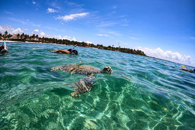 Cenote and Swimming with Turtles Private Tour in Akumal - Gear, comfort, and what to pack for turtles and cenotes