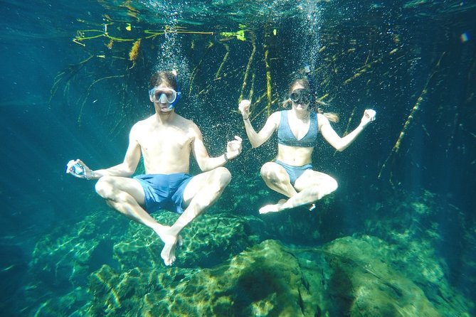 Cenote Paddleboarding and Snorkeling in Tulum - Snorkeling Between Mangroves, With Wildlife Moments