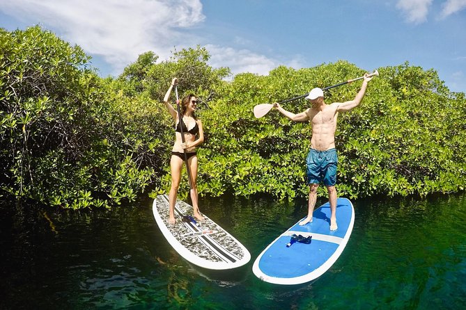 Cenote Paddleboarding and Snorkeling in Tulum - Transport From Tulum Town and a Clear Meeting Point