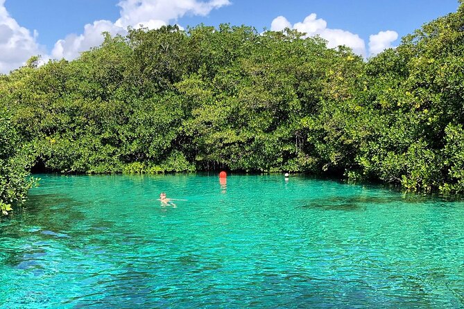 Cenote Triple Adventure Tour in Tulum - Casa Cenote: soft sand, mangroves, and a jungle-swam feel
