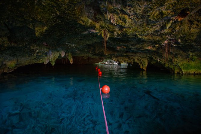 Cenotes trail jungle bike tour in Tulum with lunch - Jungle Biking Through Tulum To Real Cenote Water