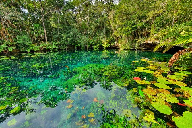 Cenotes trail jungle bike tour in Tulum with lunch - The Ride: Quiet Jungle Paths, Real Terrain, and a Few Road Moments