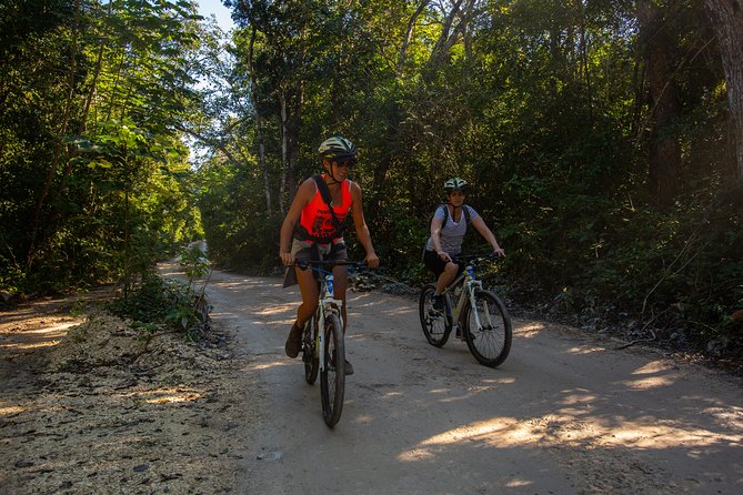 Cenotes trail jungle bike tour in Tulum with lunch - Price and What $119 Actually Buys You
