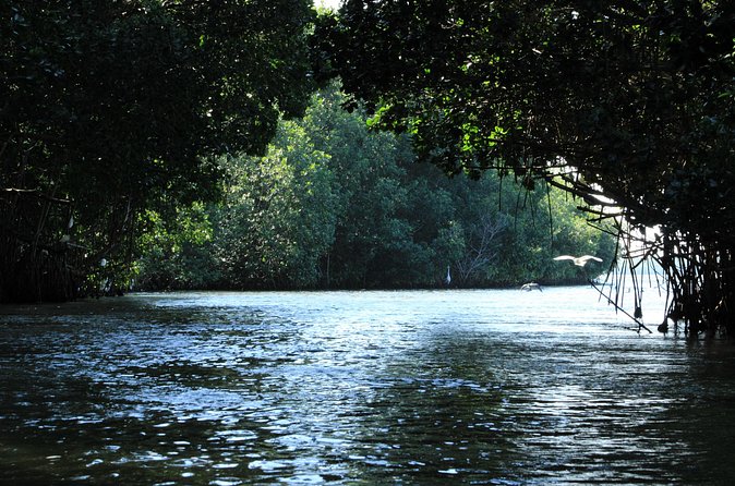 Chacahua Afternoon Journey - Optional Beach and Village Moments: What to Expect Beyond the Water