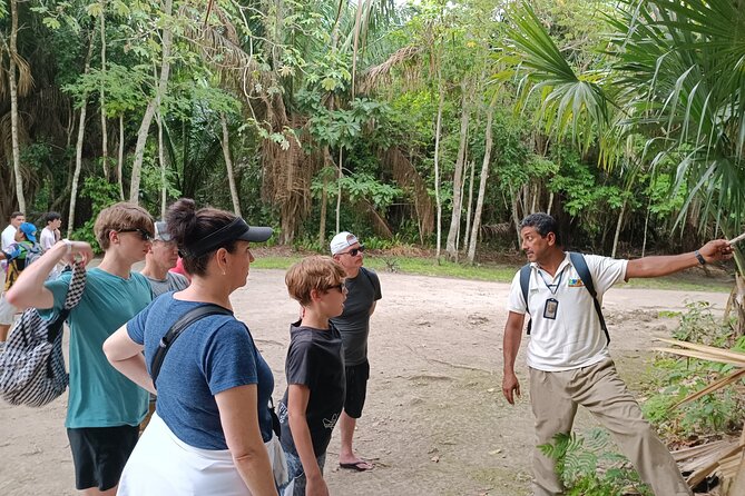 Chacchoben Mayan Ruins Excursion - Walking, Stairs, Benches, and Photo Time at the Site