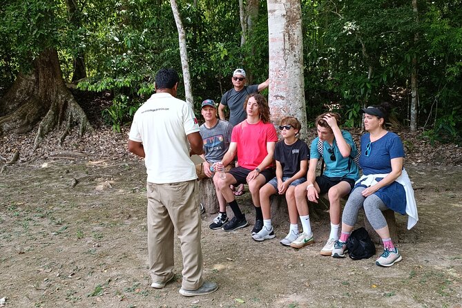 Chacchoben Mayan Ruins Excursion - Comfort on the Ride, Plus the Pineapple Stop on the Return