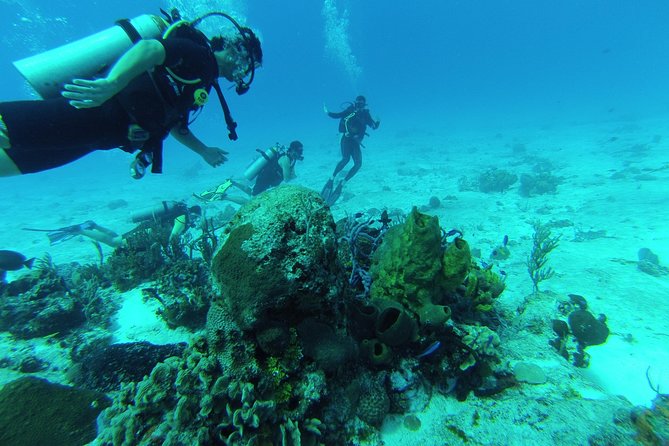 Chankanaab Cozumel Scuba Diving - Chankanaab Reef and the Park Vibe in Cozumel