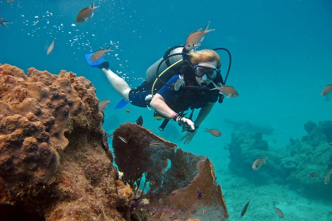 Chankanaab Cozumel Scuba Diving - Getting There From Cozumel Port: The Real-World Logistics