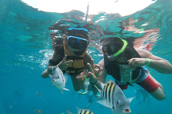Chankanaab Park Admission + Snorkeling - Chankanaab Day Plan in Cozumel: What You Are Really Buying