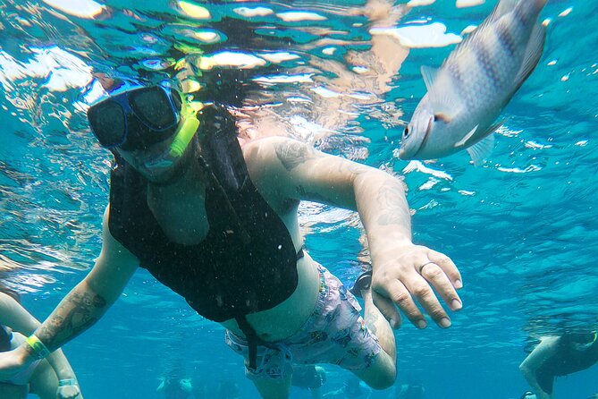 Chankanaab Park Admission + Snorkeling - What to Bring (and What to Watch For)