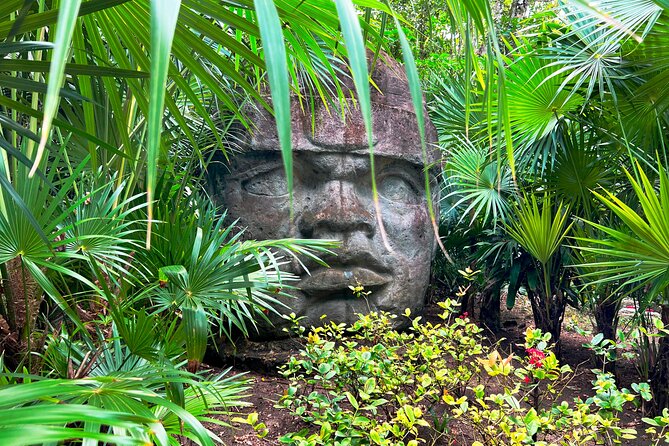 Chankanab Park Admission +Open bar +Lunch included +Snorkeling - Getting to the park, timing your day from Cozumel