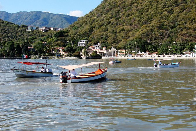 Chapala Lake & Ajijic Tour with "Tres Potrillos Ranch" - Lake Chapala: the old French facade station, pelicans, and that rain story