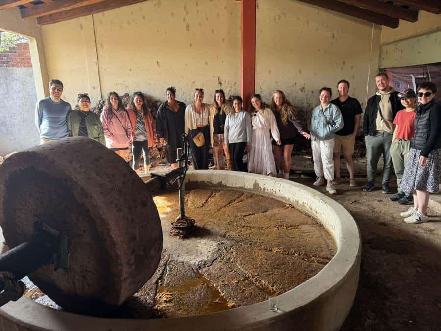 Check out Hierve el Agua, Mitla, the Tule Tree, Rugs, and a Mezcal Distillery Tour - Price and value: what $49 really becomes by the end