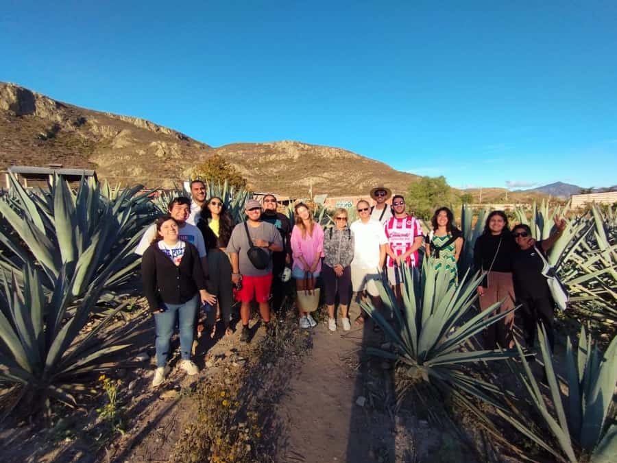 Check out Hierve el Agua, Mitla, the Tule Tree, Rugs, and a Mezcal Distillery Tour - Mezcal distillery visit: tasting that usually feels fun