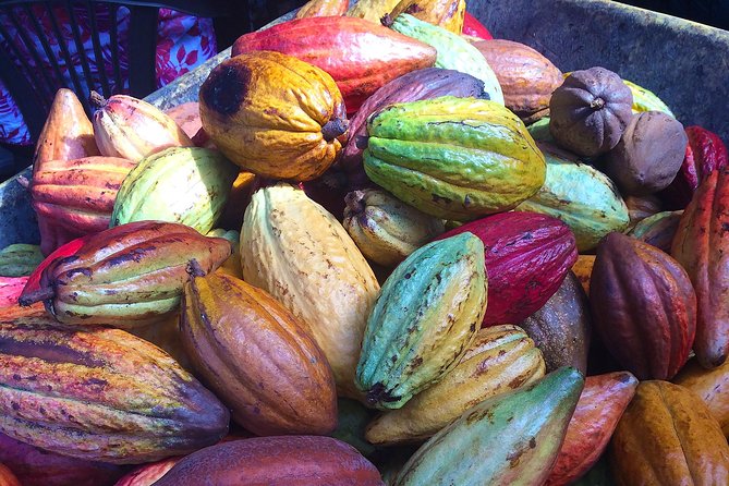Chocolate and Cobblestones Tour with Taste of San Miguel - Key highlights I think you will care about
