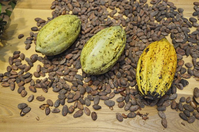 Chocolate and Cobblestones Tour with Taste of San Miguel - Chocolate tastings that go beyond candy