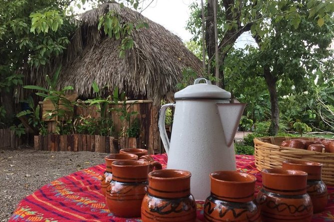 Chocolate Tour in Vallarta - The chocolate workshop, what happens from pod to chocolate bar