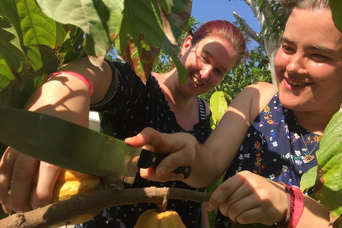 Chocolate Tour in Vallarta - Drinks, snacks, and the part that tastes best