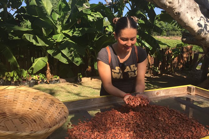 Chocolate Tour in Vallarta - Getting there, the rural setting and your rideshare budget
