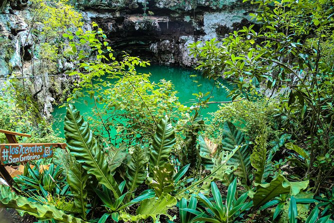 Choose your experience to live in Los 7 Cenotes San Gerónimo - Los 7 San Gerónimo cenotes: the best part is the contrast