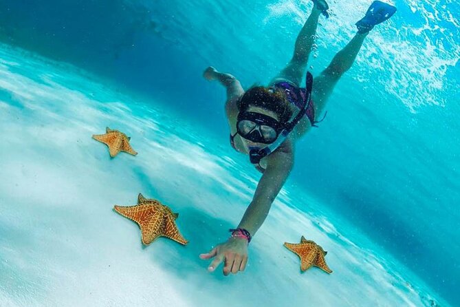 Cielito Cozumel: Mexican Caribbean Snorkeling Tour - Playa Palancar Beach Club area: more caves and deeper snorkeling options