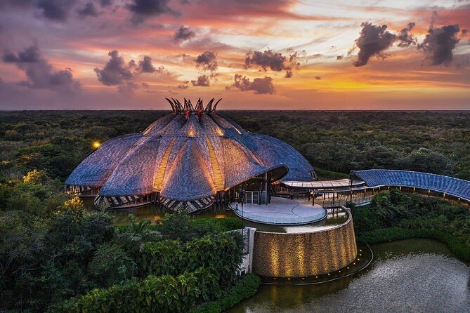Cirque du Soleil JOYÀ Admission Tickets - Champagne, wine swaps, and drink rules to know early