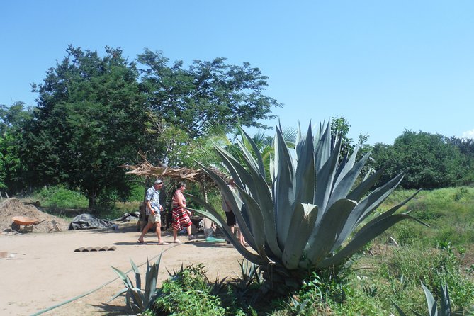 City and Country Side Tour with Luis - Key things you will notice on this tour