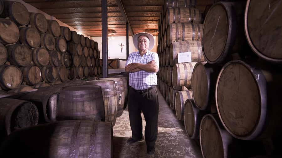 Classic Tequila Route Tour from Guadalajara and cantaritos el GÜERO!!! - Key highlights to focus on