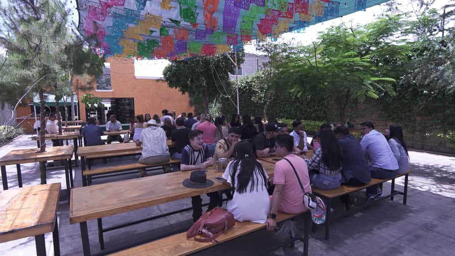 Classic Tequila Route Tour from Guadalajara and cantaritos el GÜERO!!! - Lunch and food reality check: plan for your own meal budget