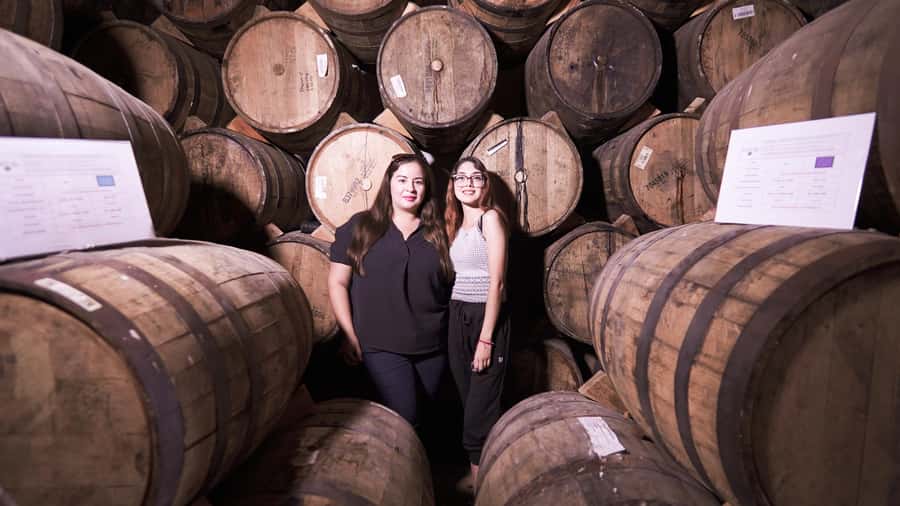 Classic Tequila Route Tour from Guadalajara and cantaritos el GÜERO!!! - Who should book this Tequila Route tour, and who might not