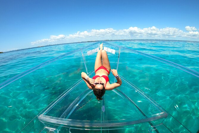 Clearboat: Glass-bottom boat ride to the Caribean Sea - What you can expect to spot under the glass (turtles, rays, coral)