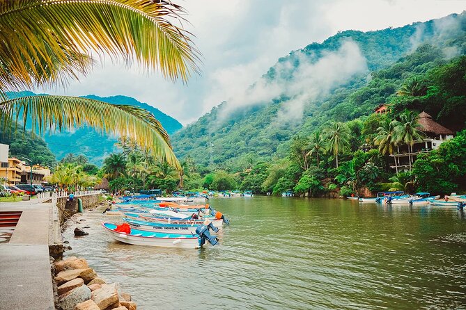 Coastal and Jungle Hiking Tour along 6 Beaches of Puerto Vallarta - Las Ánimas Beach finale: seafood, swimming options, and marine-life vibes
