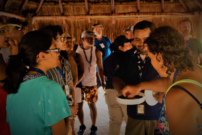 Coba and Tulum, cenote swim and buffet lunch - Timing, Pickup, and Why the Day Can Feel Longer Than 12 Hours