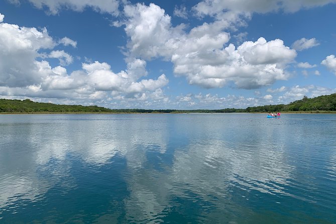 Coba Ruins and Punta Laguna Monkey Reserve Day Tour from Tulum - Cycling at Coba and climbing Nohoch Mul for the big Mayan views