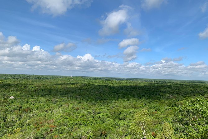 Coba Ruins and Punta Laguna Monkey Reserve Day Tour from Tulum - What you’ll eat and where souvenirs fit into the flow