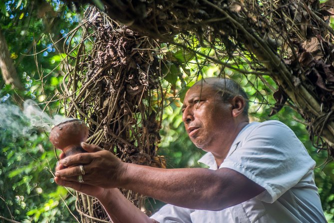 Coba Ruins, Punta Laguna Nature Reserve, Cenote and Mayan family - Timing, comfort, and how to avoid the common complaints