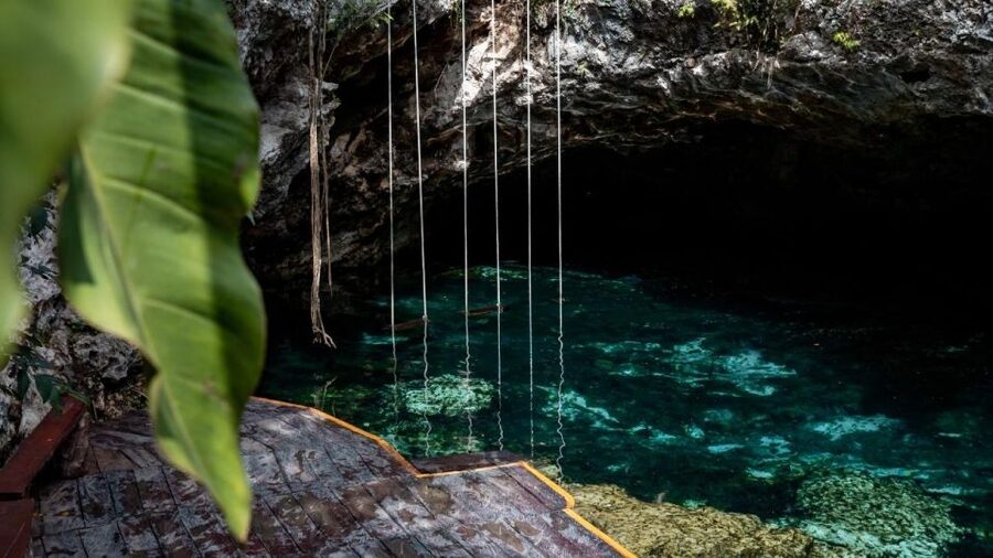 Coba, Tulum, Cenote & Lunch ECO Full Day from Rivera - Pickup, transportation, and why the morning can feel chaotic