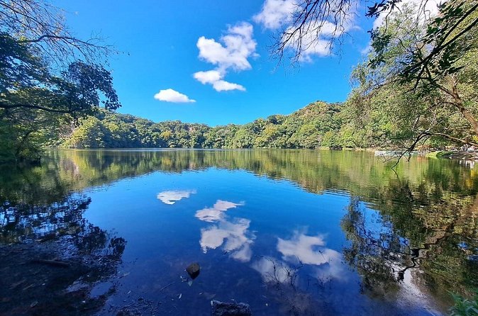 Colima Volcano Cultural Tour: Coffee Plantation, Hacienda and Comala Magic Town - Stop 4, Ex Hacienda de Nogueras and Alejandro Rangel’s art