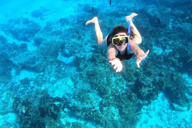 Colombia, Palancar & Cielo Cozumel Snorkel Tour - Four Reefs, One Afternoon: The Real Shape of This Tour