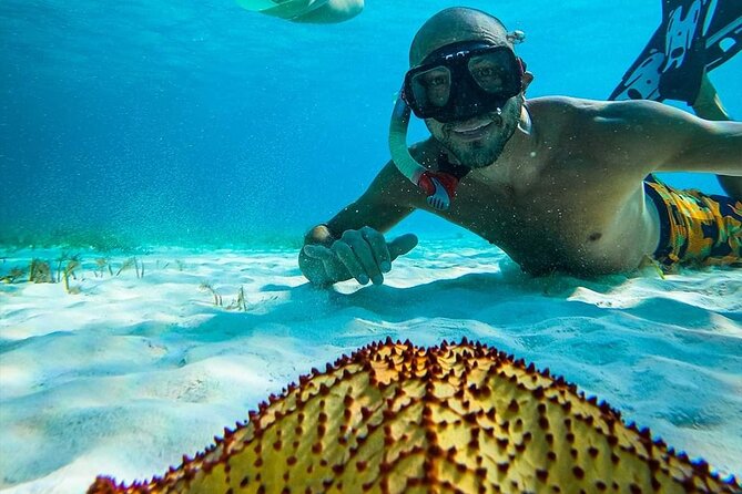 Colombia, Palancar & Cielo Cozumel Snorkel Tour - El Cielo and El Cielito: Clear Water, Soft Start, and Jellyfish Possibilities