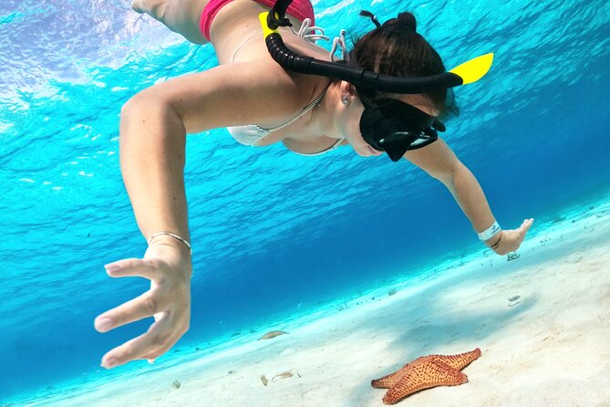 Colombia, Palancar & Cielo Cozumel Snorkel Tour - The Day’s Timing: Snorkel Sessions Add Up, But They Are Not Equal