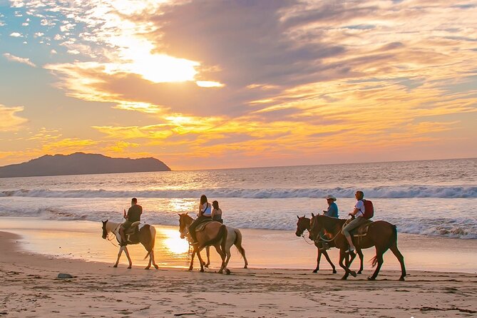 Combo Horseback Beach Ride & ATV Adventure. Tequila Tasting - The Horses: One Hour That Sets Your Pace