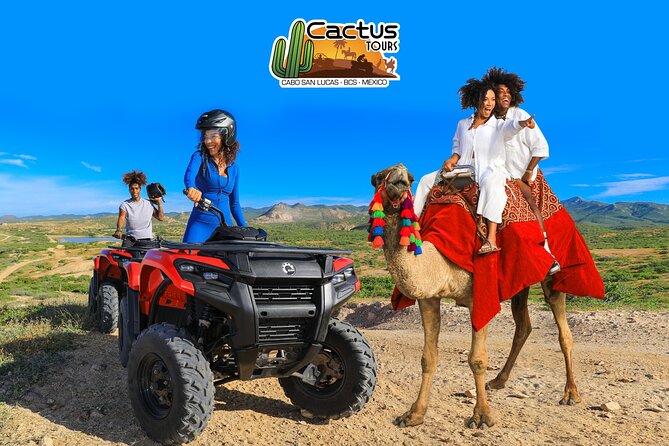 Combo Horseback Ride and Sky Bike in Cabo - Key Highlights You’ll Feel Right Away