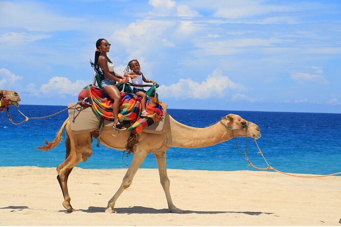 Combo Horseback Ride and Sky Bike in Cabo - Driving the Polaris Sportsman ACE Through Baja Terrain