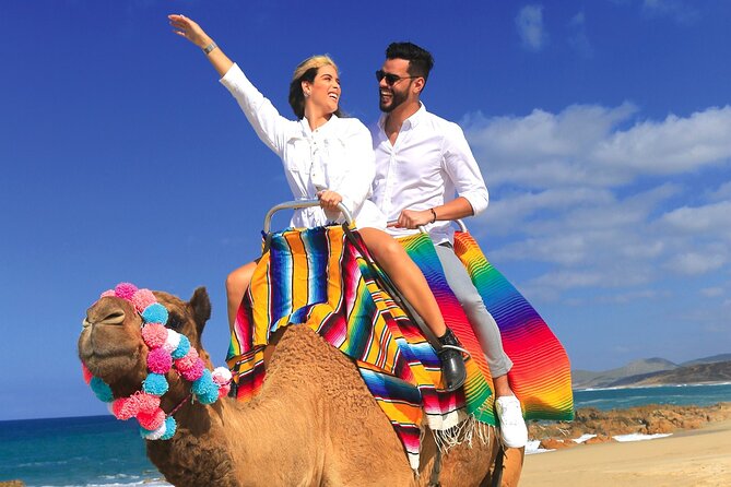 Combo Horseback Ride and Sky Bike in Cabo - The Ecological Hike and Bilingual Guidance