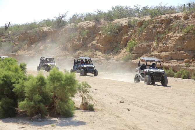 Combo Off Road 4x4 UTV Camel Ride Lunch and Tequila Tasting - Key highlights worth knowing